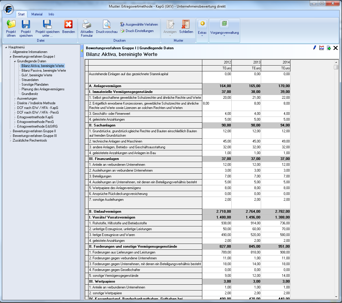 Software Unternehmensbewertung_Grundlegende-Daten-eingeben